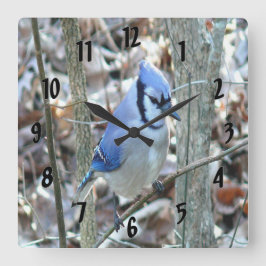 Beautiful Blue Jay Quadratische Wanduhr