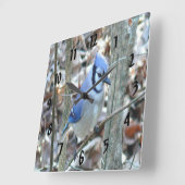 Beautiful Blue Jay Quadratische Wanduhr (Winkel)