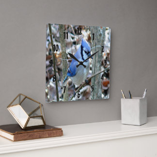 Beautiful Blue Jay Quadratische Wanduhr