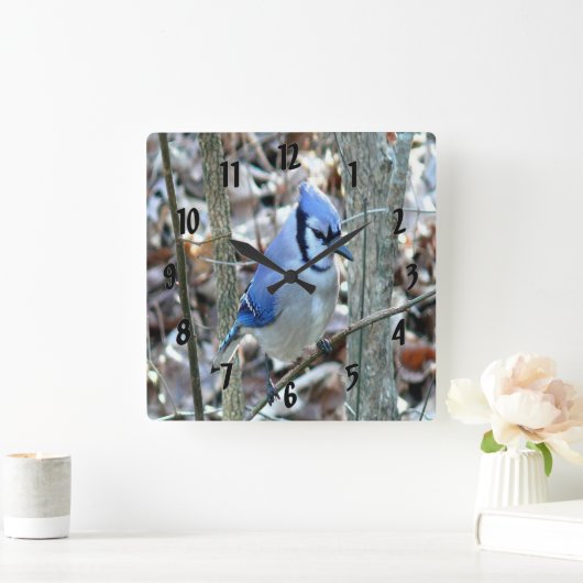 Beautiful Blue Jay Quadratische Wanduhr (Zuhause)