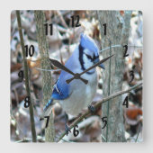 Beautiful Blue Jay Quadratische Wanduhr (Vorderseite)