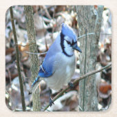 Beautiful Blue Jay Rechteckiger Pappuntersetzer (Vorderseite)