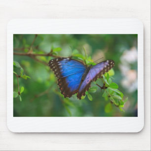 Beautiful Blue Lila und Black Butterfly Mousepad