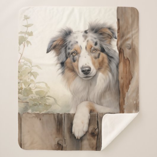 Beautiful Blue Merle Aussie Sherpadecke (Vorderseite)