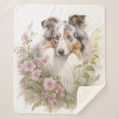 Beautiful Blue Merle Sheltie Sherpadecke (Vorderseite)