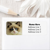 Beautiful Blue Mit Augen Ragdoll Cat Rücksendeadre (Insitu)