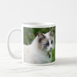 Beautiful Blue Mit Augen Ragdoll Kitten Kaffeetasse