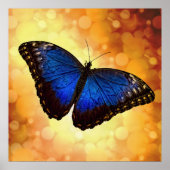 Beautiful Blue Morpho Butterfly Bokeh Poster (Vorne)