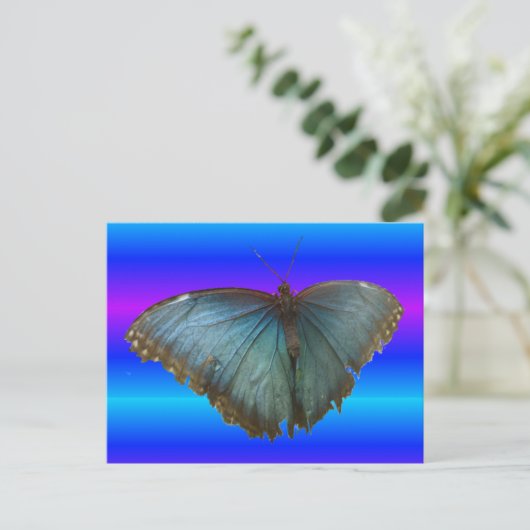 Beautiful Blue Morpho Butterfly DIY Postcard Postkarte (Stehend Vorderseite)