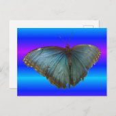 Beautiful Blue Morpho Butterfly DIY Postcard Postkarte (Vorne/Hinten)
