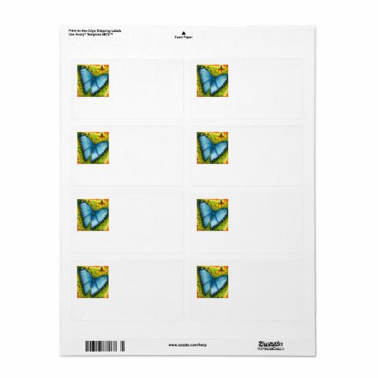 Beautiful Blue Morpho Butterfly Mailing Labels (Vorne)