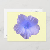 Beautiful Blue Nasturtium Postcard Postkarte (Vorne/Hinten)