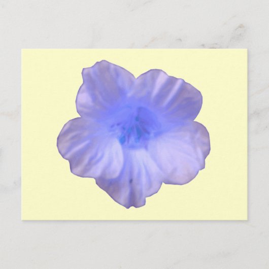 Beautiful Blue Nasturtium Postcard Postkarte (Vorderseite)