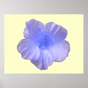 Beautiful Blue Nasturtium Print Poster