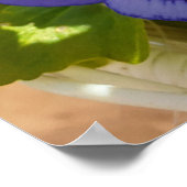 Beautiful Blue Pansy Flower Garden Poster (Ecke)