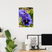 Beautiful Blue Pansy Flower Garden Poster (Heimbüro)