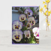 Beautiful Blue Pansy Stiefmütterchen Blume Blumenk Karte (Gelbe Blume)