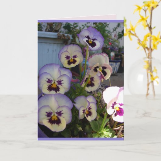 Beautiful Blue Pansy Stiefmütterchen Blume Blumenk Karte (Gelbe Blume)