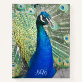 Beautiful Blue Peacock Feathers Foto Notizblock (Vorderseite)