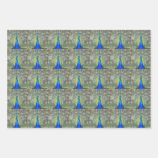 Beautiful Blue Peacock Feathers Geschenkpapier Set (Vorderseite)