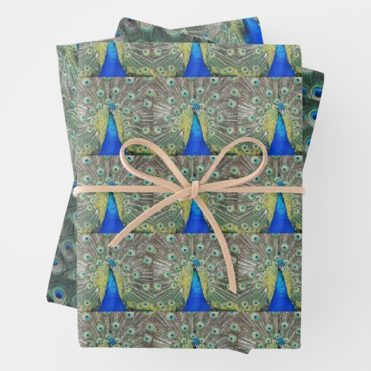 Beautiful Blue Peacock Feathers Geschenkpapier Set (Beispiel)