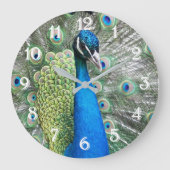 Beautiful Blue Peacock Feathers Große Wanduhr (Vorderseite)