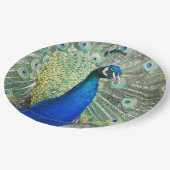 Beautiful Blue Peacock Feathers Pappteller (Schrägansicht)