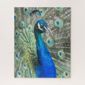 Beautiful Blue Peacock Feathers Puzzle (Vertikal)
