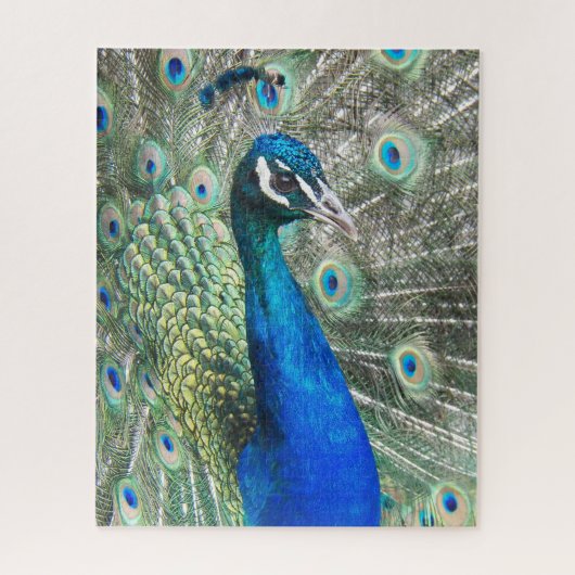 Beautiful Blue Peacock Feathers Puzzle (Vertikal)