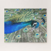 Beautiful Blue Peacock Feathers Puzzle (Horizontal)
