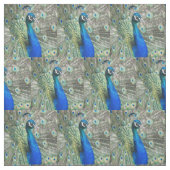 Beautiful Blue Peacock Feathers Stoff (Muster)