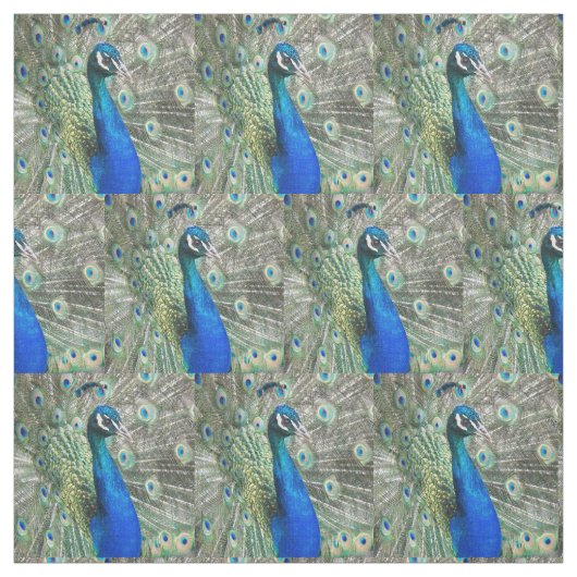 Beautiful Blue Peacock Feathers Stoff (Muster)