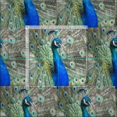 Beautiful Blue Peacock Feathers Stoff (Kachel)