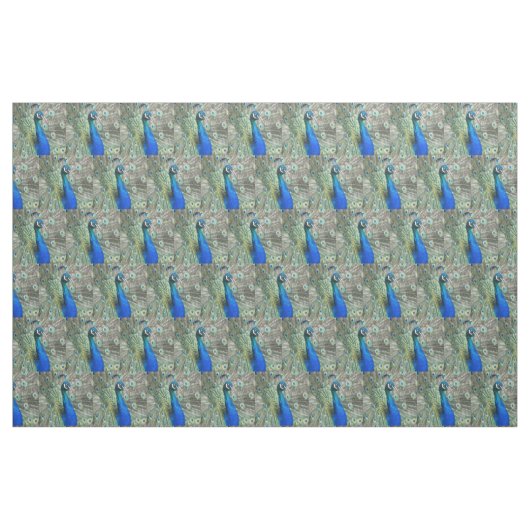 Beautiful Blue Peacock Feathers Stoff (Fat Quarter (45,7 x 55,9 cm))