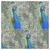 Beautiful Blue Peacock Feathers Stoff (Nahaufnahme)