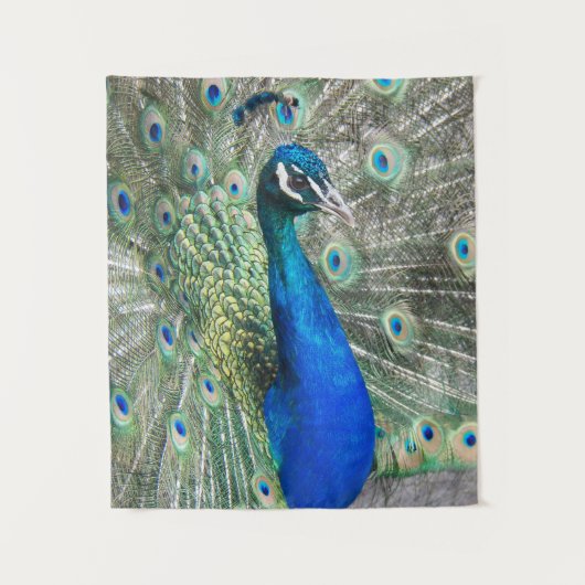 Beautiful Blue Peacock Feathers Wandteppich (Vorderseite)