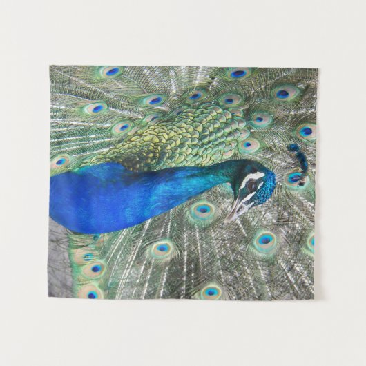 Beautiful Blue Peacock Feathers Wandteppich (Vorderseite (Horizontal))