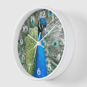 Beautiful Blue Peacock Feathers Wanduhr (Winkel)