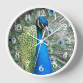 Beautiful Blue Peacock Feathers Wanduhr (Vorderseite)