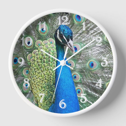 Beautiful Blue Peacock Feathers Wanduhr (Vorderseite)