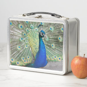 Beautiful Blue Peacock Foto Metall Brotdose