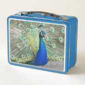 Beautiful Blue Peacock Foto Metall Brotdose (Rückseite)
