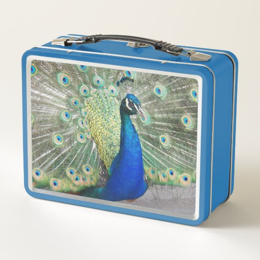 Beautiful Blue Peacock Foto Metall Brotdose (Rückseite)