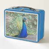 Beautiful Blue Peacock Foto Metall Brotdose (Vorderseite)