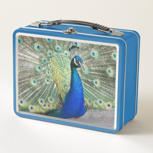 Beautiful Blue Peacock Foto Metall Brotdose (Vorderseite)