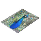 Beautiful Blue Peacock Foto Notizblock (Linke Seite)