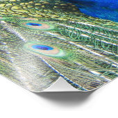 Beautiful Blue Peacock Fotodruck (Ecke)