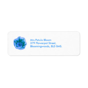 Beautiful Blue Tulip Custom