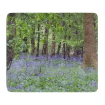 Beautiful Bluebell Wood