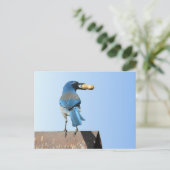 Beautiful Bluebird Postkarte (Stehend Vorderseite)